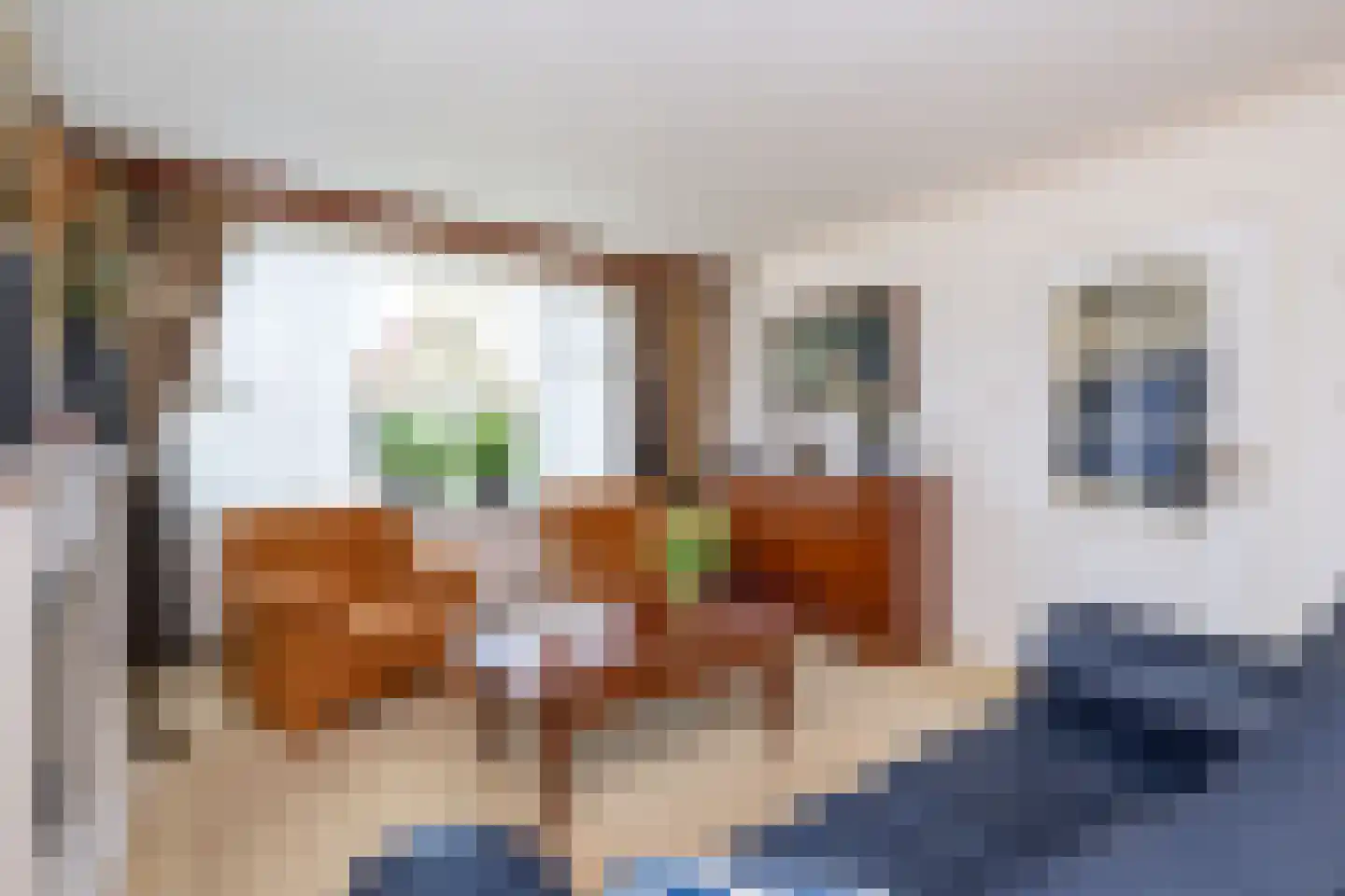 Korteweegje 26 Nieuwe-Tonge thumbnail 7