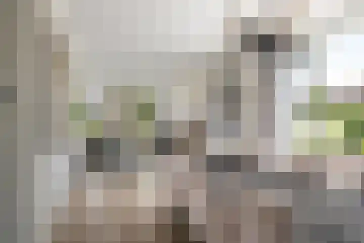 Korteweegje 27 Nieuwe-Tonge thumbnail 11