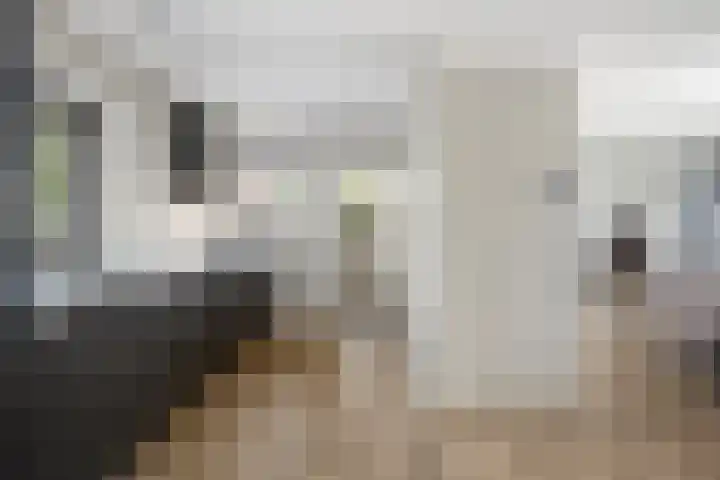 Korteweegje 27 Nieuwe-Tonge thumbnail 13