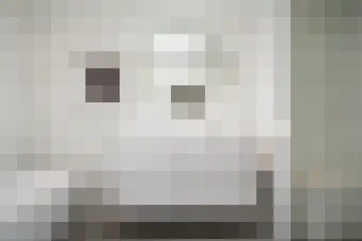 Korteweegje 27 Nieuwe-Tonge thumbnail 18