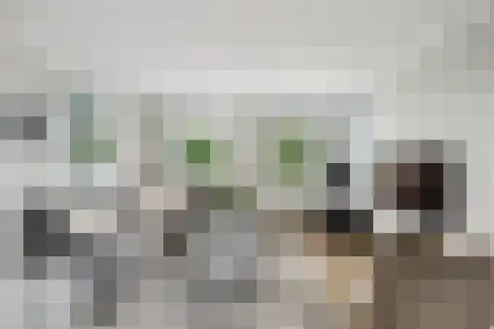 Korteweegje 27 Nieuwe-Tonge foto 2