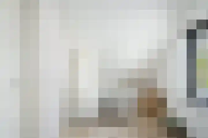 Korteweegje 27 Nieuwe-Tonge thumbnail 26