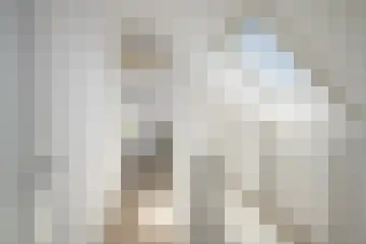 Korteweegje 27 Nieuwe-Tonge thumbnail 27