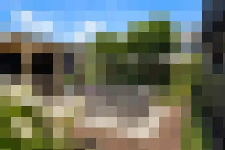 Korteweegje 27 Nieuwe-Tonge foto 3