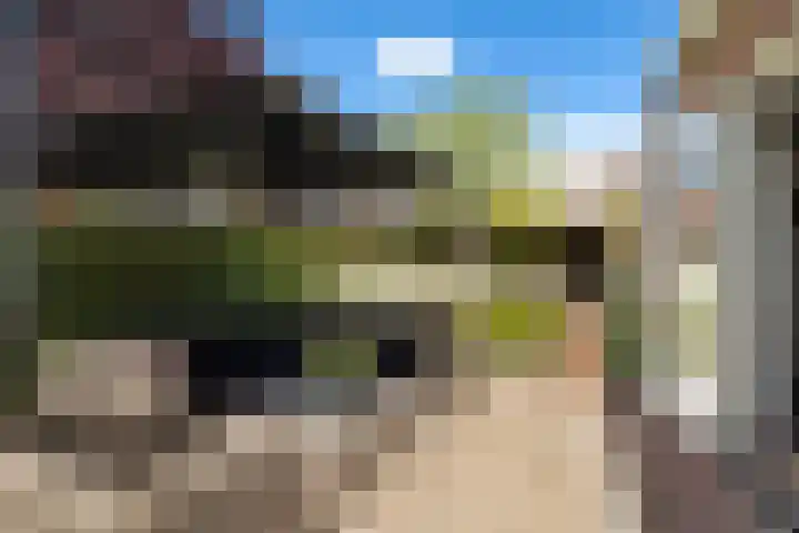 Korteweegje 27 Nieuwe-Tonge thumbnail 31