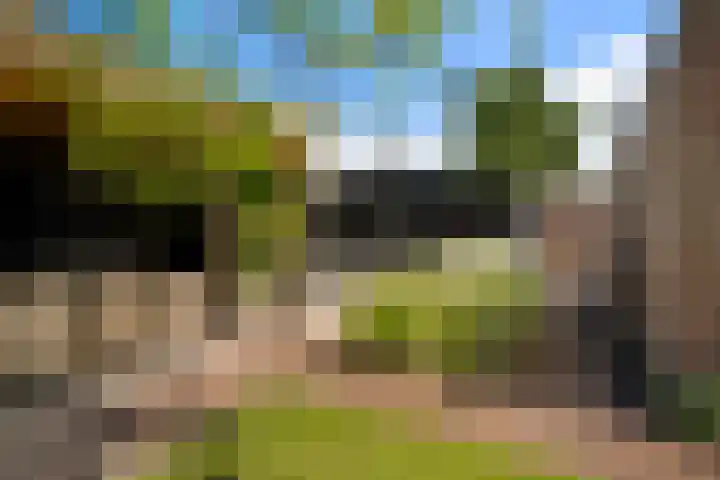 Korteweegje 27 Nieuwe-Tonge thumbnail 33