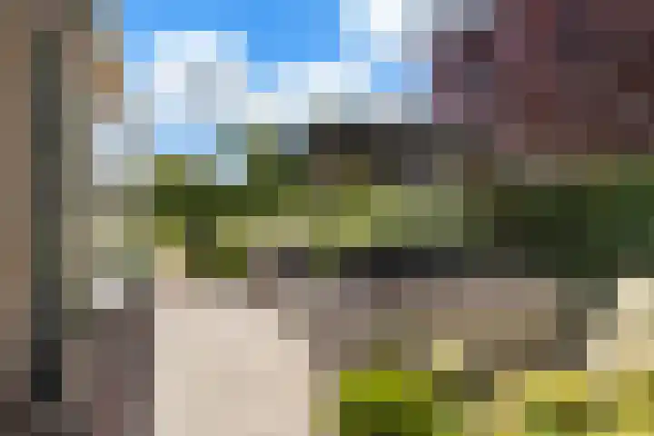 Korteweegje 27 Nieuwe-Tonge thumbnail 34
