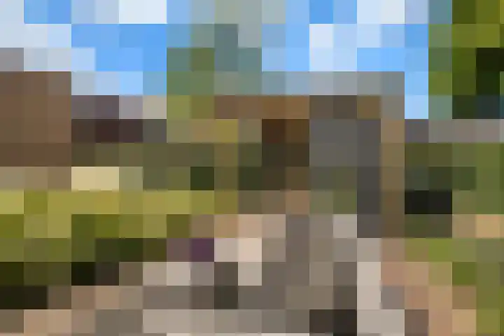 Korteweegje 27 Nieuwe-Tonge thumbnail 35