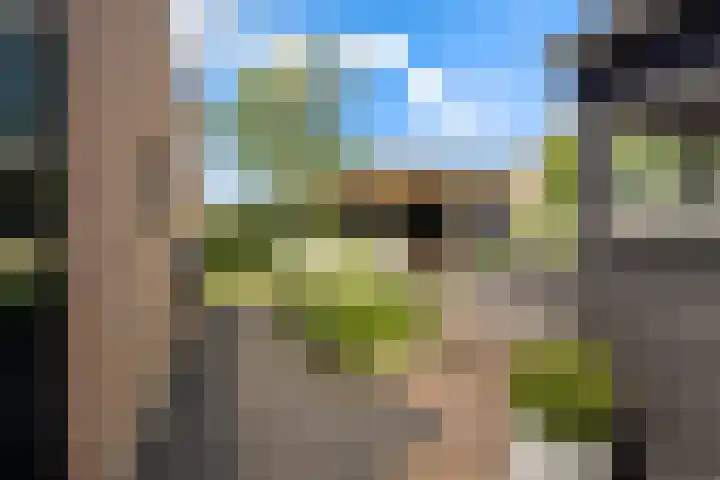Korteweegje 27 Nieuwe-Tonge thumbnail 36