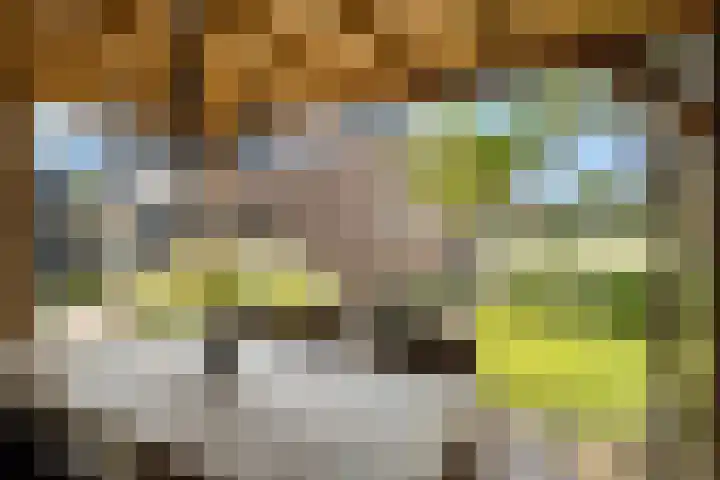 Korteweegje 27 Nieuwe-Tonge thumbnail 37