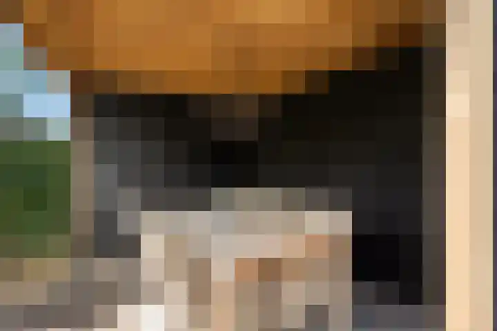 Korteweegje 27 Nieuwe-Tonge thumbnail 38