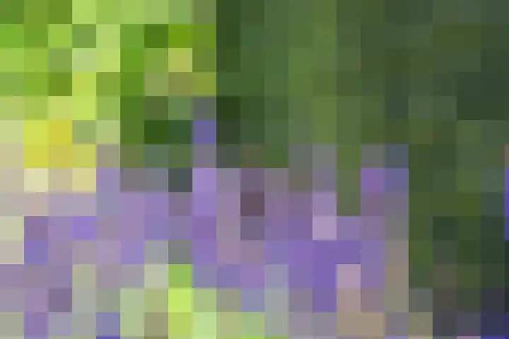 Korteweegje 27 Nieuwe-Tonge thumbnail 39