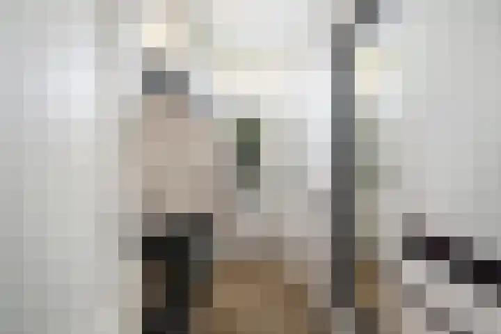 Korteweegje 27 Nieuwe-Tonge thumbnail 4