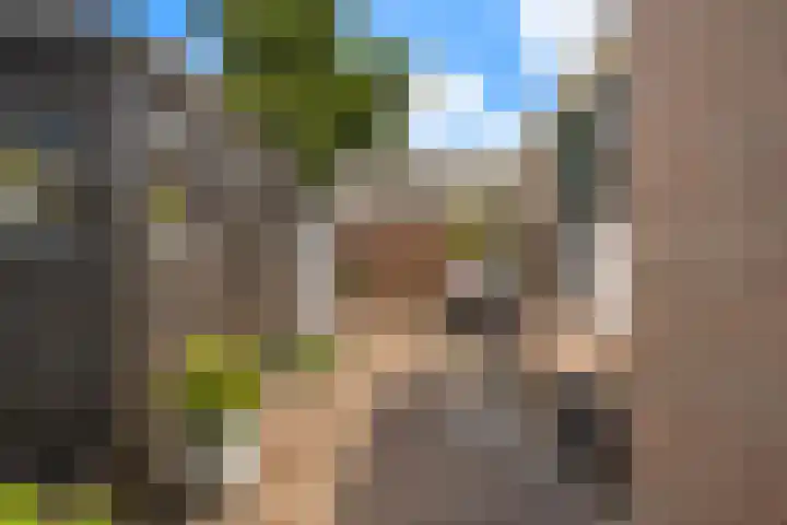 Korteweegje 27 Nieuwe-Tonge thumbnail 40