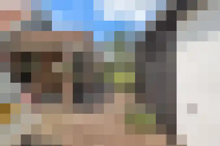 Korteweegje 27 Nieuwe-Tonge thumbnail 41