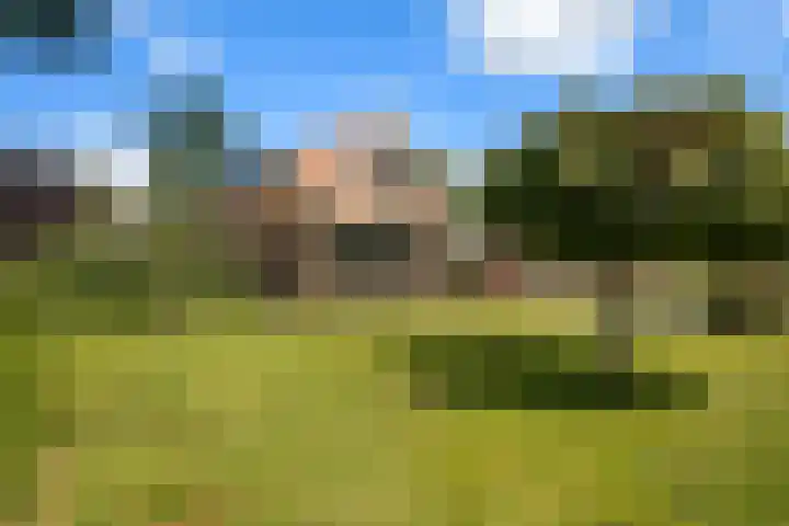 Korteweegje 27 Nieuwe-Tonge thumbnail 43
