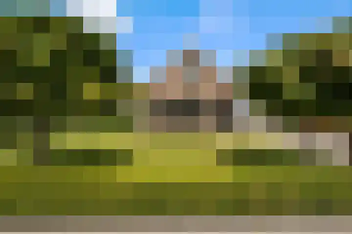 Korteweegje 27 Nieuwe-Tonge thumbnail 44