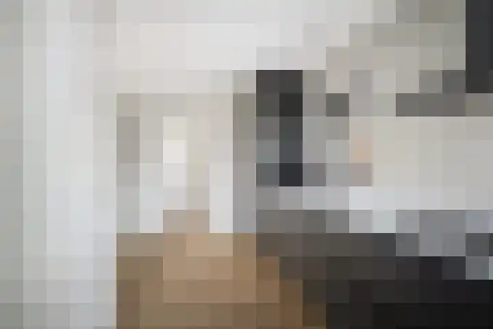 Korteweegje 27 Nieuwe-Tonge thumbnail 5