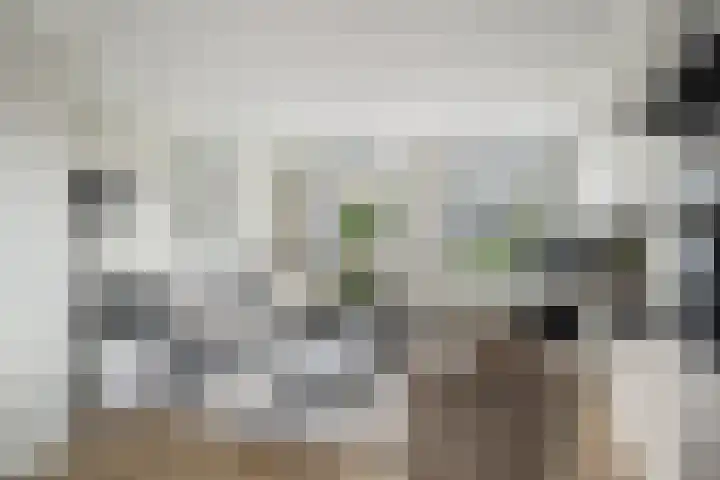 Korteweegje 27 Nieuwe-Tonge thumbnail 7