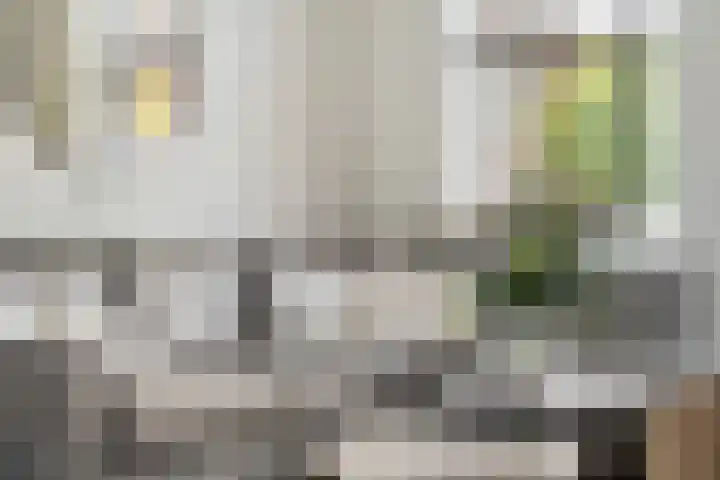 Korteweegje 27 Nieuwe-Tonge thumbnail 8