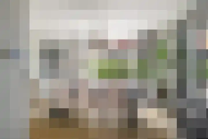 Korteweegje 27 Nieuwe-Tonge thumbnail 9