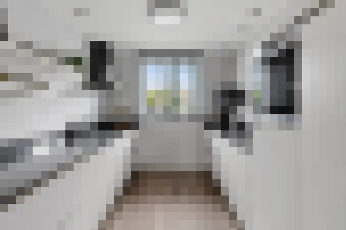 Korteweegje 37 Dirksland thumbnail 10