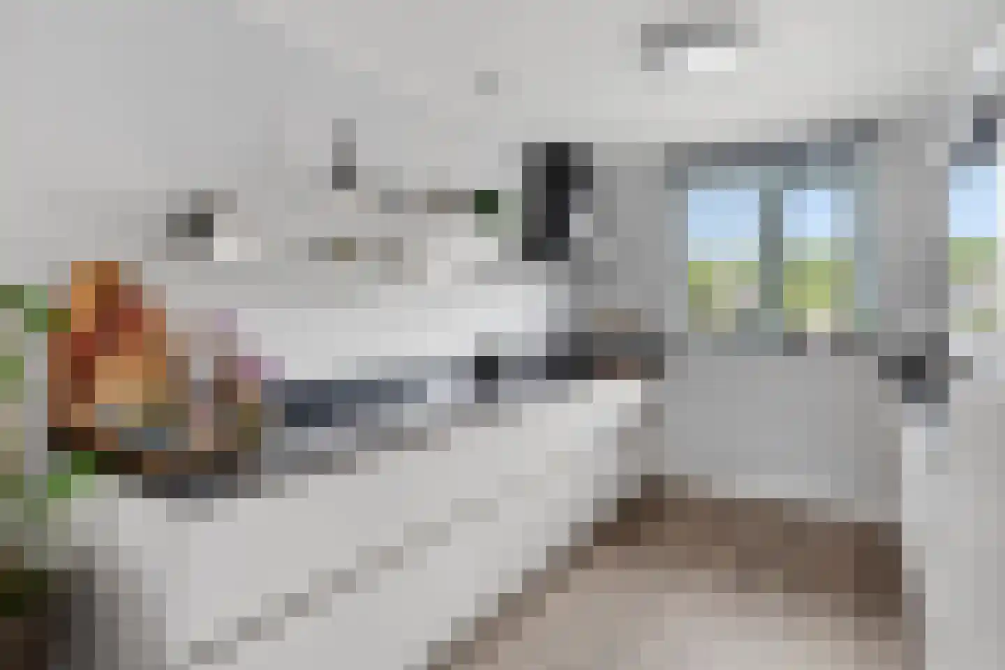 Korteweegje 37 Dirksland thumbnail 11