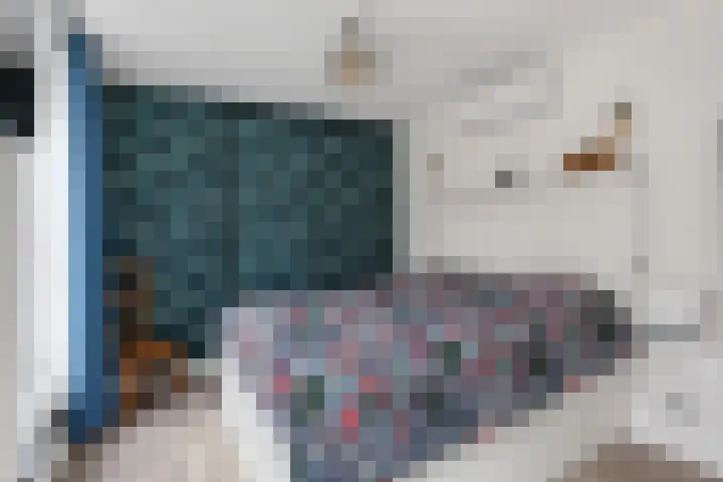 Korteweegje 37 Dirksland thumbnail 13