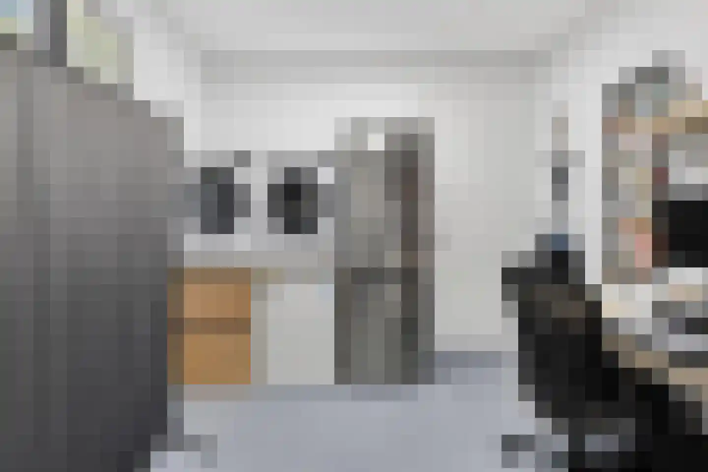 Korteweegje 37 Dirksland thumbnail 18