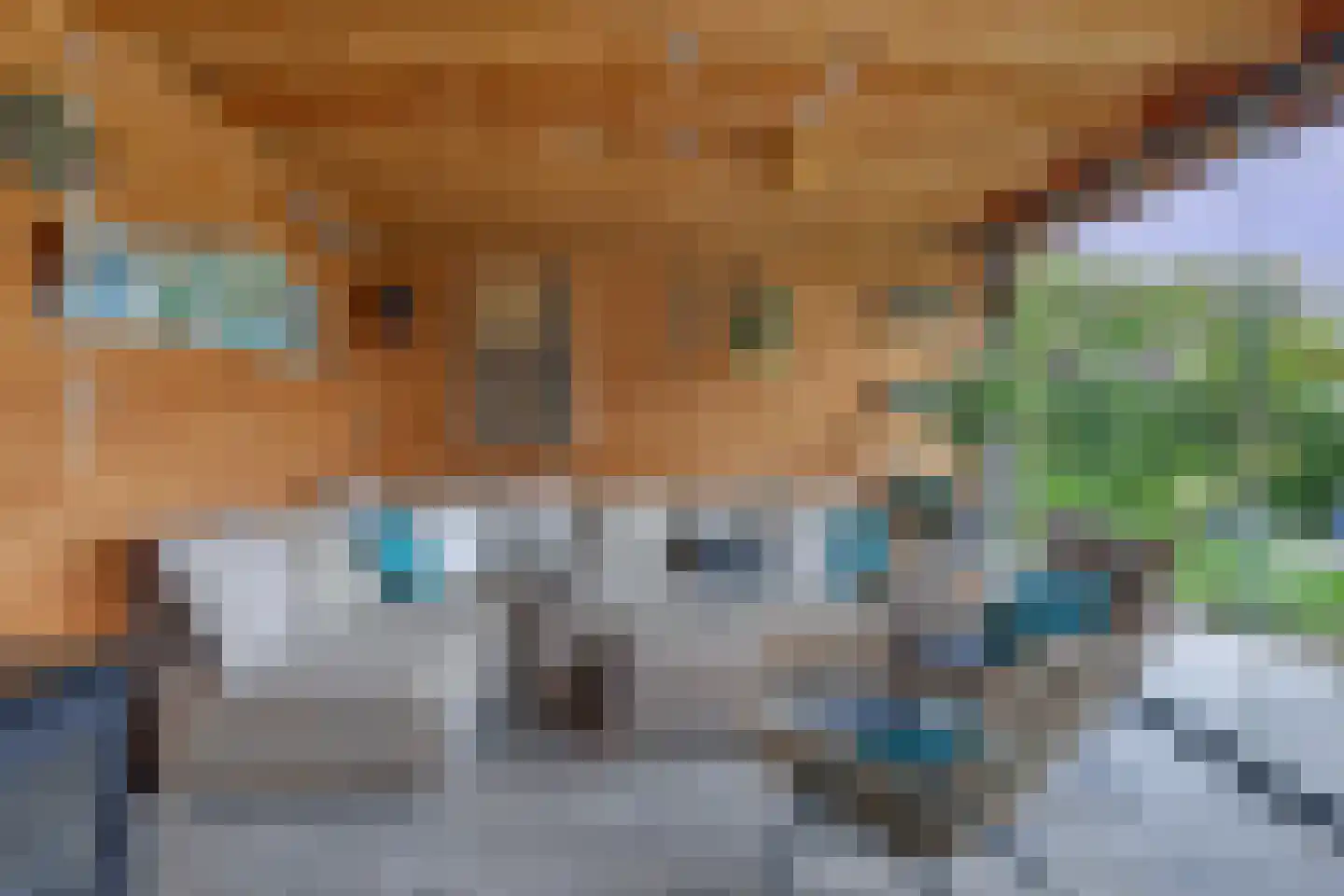 Korteweegje 37 Dirksland thumbnail 30