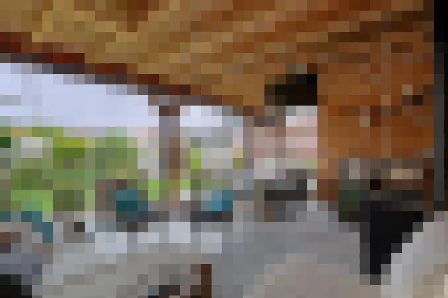 Korteweegje 37 Dirksland thumbnail 31