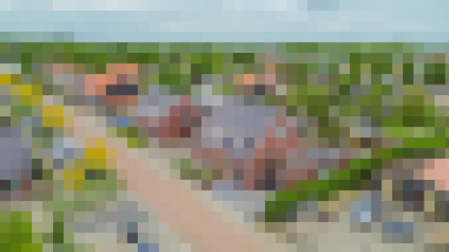 Korteweegje 37 Dirksland thumbnail 34