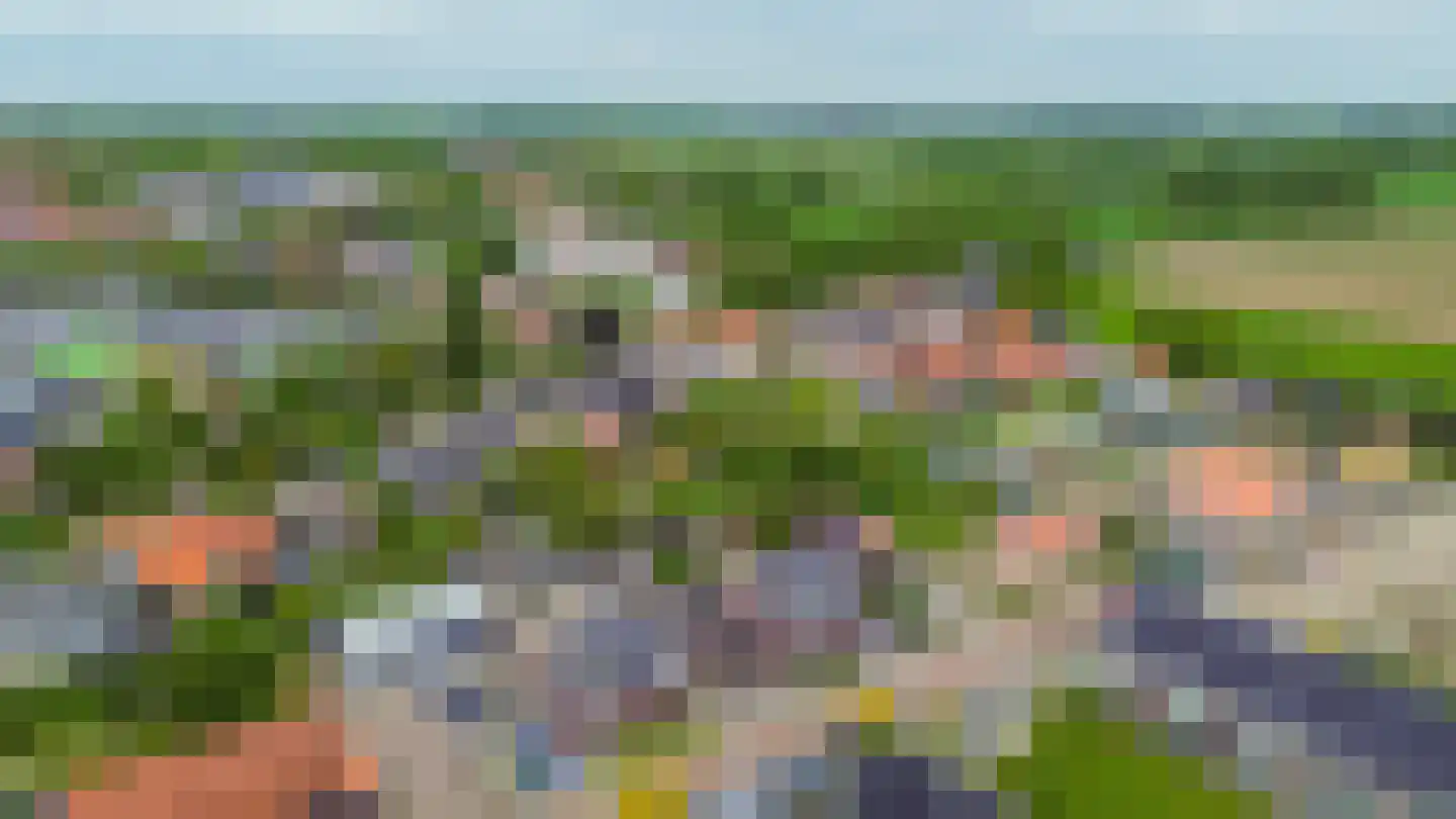 Korteweegje 37 Dirksland thumbnail 38