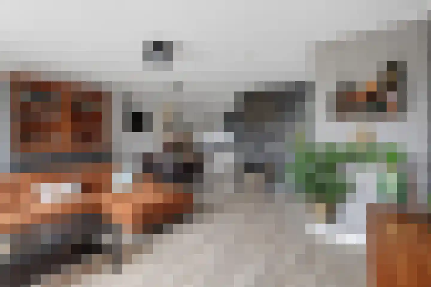 Korteweegje 37 Dirksland thumbnail 8