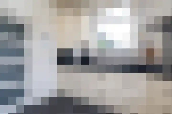 Korteweegje 38 Nieuwe-Tonge thumbnail 14