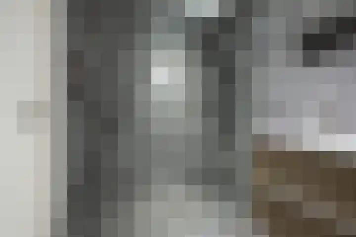 Korteweegje 38 Nieuwe-Tonge thumbnail 17