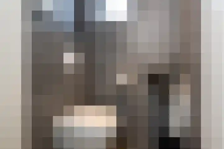 Korteweegje 38 Nieuwe-Tonge thumbnail 19
