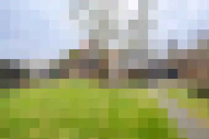 Korteweegje 38 Nieuwe-Tonge foto 2