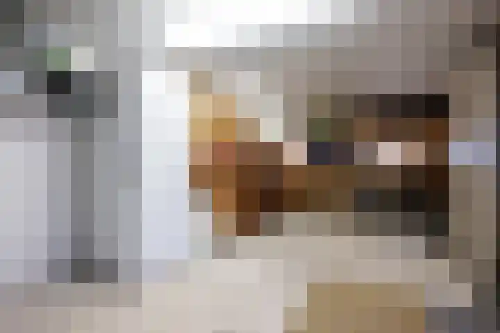 Korteweegje 38 Nieuwe-Tonge thumbnail 26