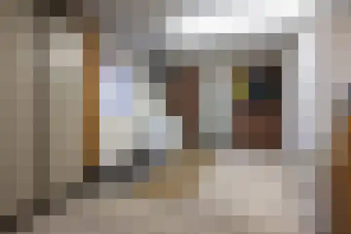 Korteweegje 38 Nieuwe-Tonge thumbnail 27