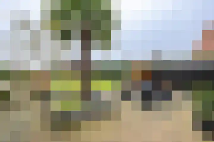 Korteweegje 38 Nieuwe-Tonge thumbnail 28