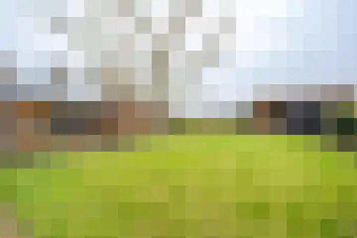 Korteweegje 38 Nieuwe-Tonge thumbnail 30