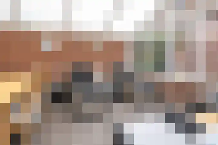 Korteweegje 38 Nieuwe-Tonge thumbnail 31