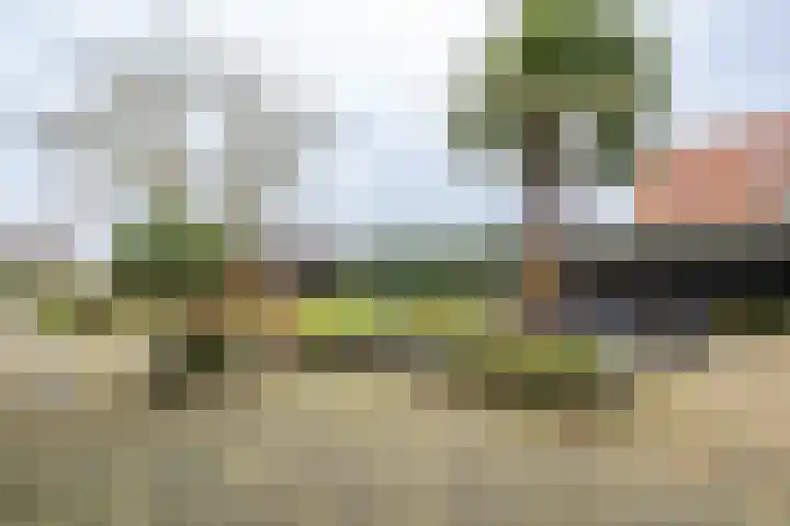 Korteweegje 38 Nieuwe-Tonge thumbnail 33
