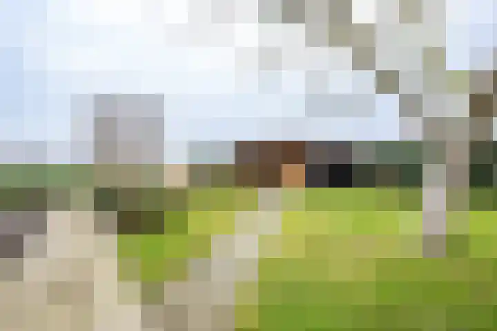 Korteweegje 38 Nieuwe-Tonge thumbnail 34