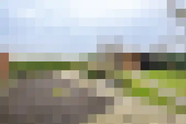 Korteweegje 38 Nieuwe-Tonge thumbnail 35