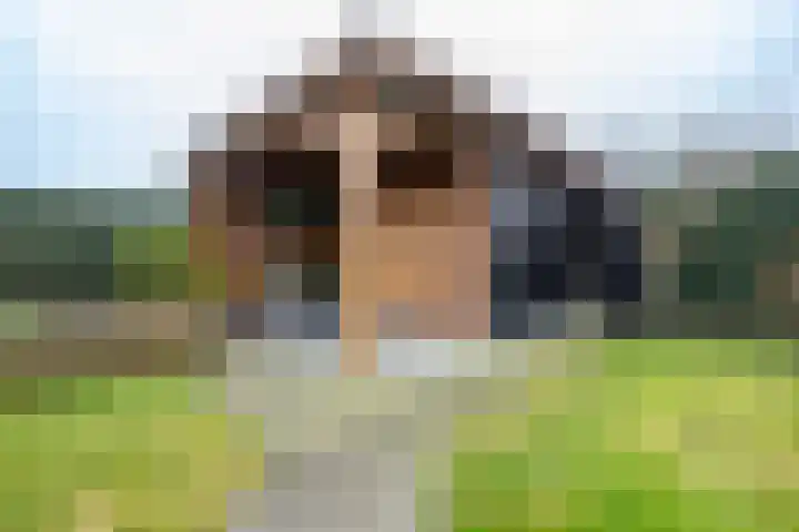 Korteweegje 38 Nieuwe-Tonge thumbnail 36