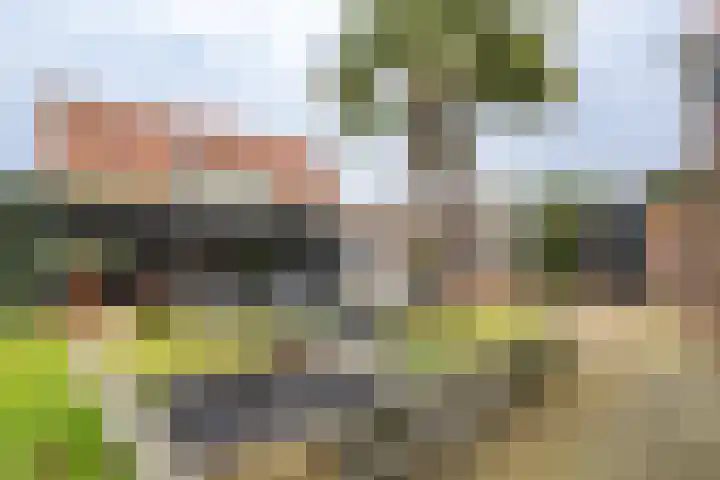 Korteweegje 38 Nieuwe-Tonge thumbnail 38