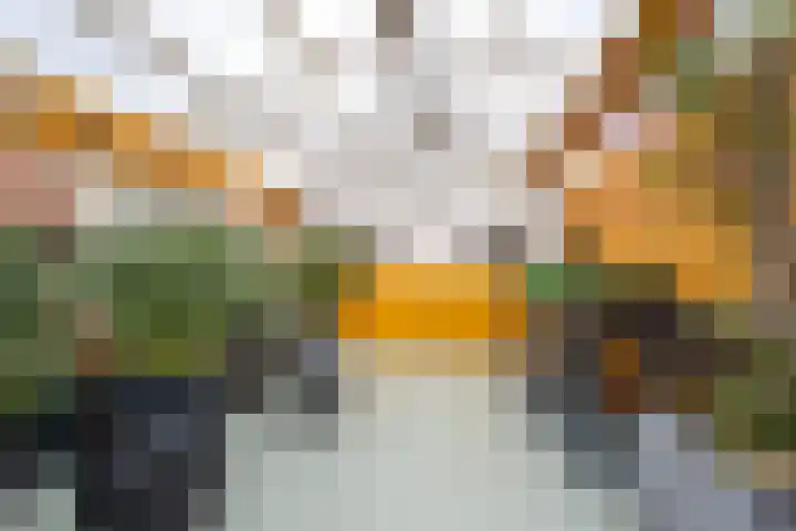 Korteweegje 38 Nieuwe-Tonge thumbnail 39