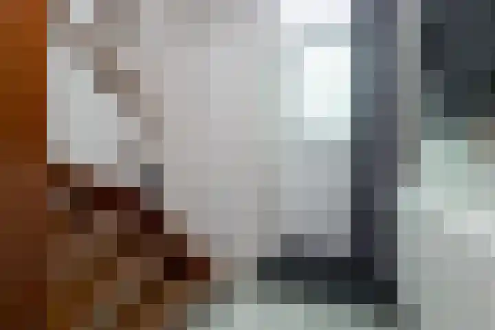 Korteweegje 38 Nieuwe-Tonge thumbnail 4
